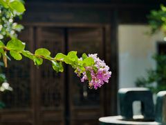 -惠山古镇·寄畅园