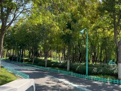-张店儿童公园