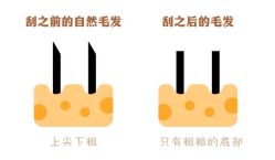 -诗碧曼养发