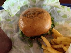 -巴黎迪士尼乐园