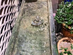 -粤色·老广州茶餐厅(河南商会大厦店)