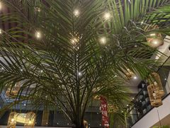 -杭州城北体育公园