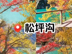 -叠溪松坪沟景区