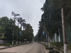 -重庆海昌加勒比海水世界