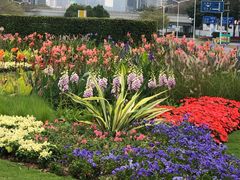 -深圳市人才园(深南大道店)