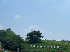 -浮槎山