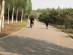 -东郊湿地公园