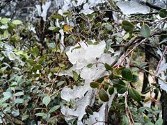 -梧桐山风景名胜区