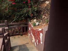 -哈尼梯田美食土菜馆