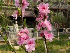 -塔子山公园
