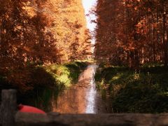 -黄海国家森林公园