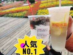 -蜜雪冰城(观音桥步行街店)