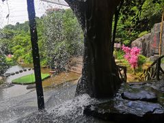 -清境桃源