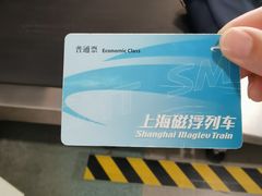 -龙阳路磁悬浮列车总站-停车场