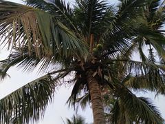 -亚龙湾亚泰商业街