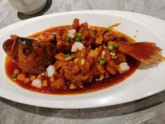 -老绍兴养和饭店(向阳不夜城店)