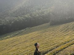 -敬亭山风景名胜区