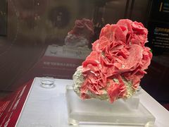 -湖南省地质博物馆