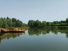 -东郊湿地公园