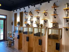 -MUSEO COFFEE咖啡博物馆