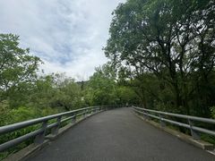 -西湖风景区-江洋畈生态公园