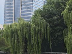 -黄村公园