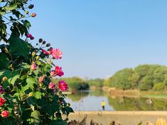 -艾溪湖湿地公园