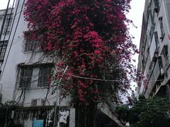 -白沙门生态公园