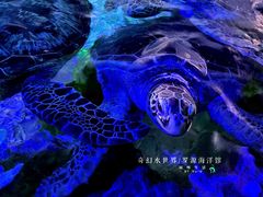 -福州罗源湾海洋世界旅游区