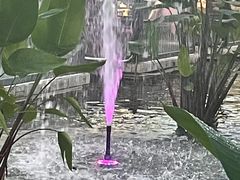 -鹅公村·国家非遗传承(荔湾店)