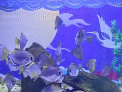 -烟台海昌鲸鲨海洋公园