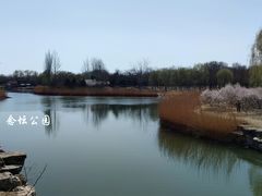 -大兴滨河森林公园