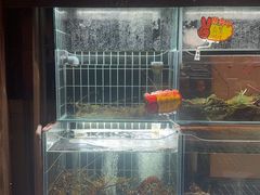-苏淮景·苏闽融创菜·海鲜(原空港井河轩店)