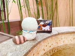 -春晖园度假酒店温泉