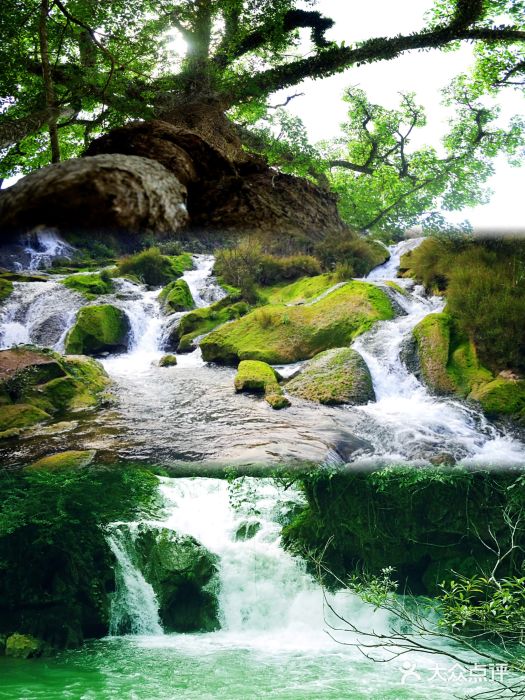 古龙山大峡谷图片