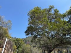 -青芝山风景名胜区