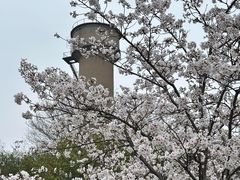 -关你鬼室大型密室逃脱(佛山创意园店)