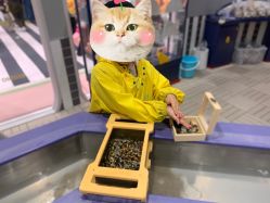 -奈尔宝·儿童乐园·亲子餐厅(鄞州万达店)