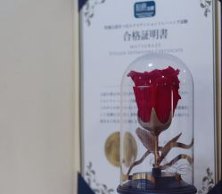-赫本轻奢美颜中心