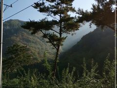 -大连天门山国家森林公园