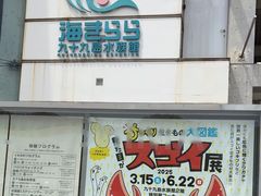 -西海国立公园九十九岛水族馆
