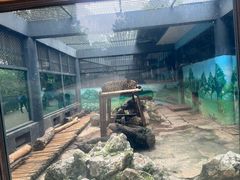 -昆明动物园