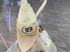 -野人先生现做冰淇淋(西安赛格店)
