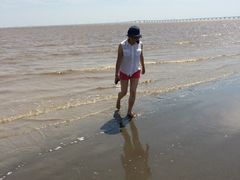 -南汇嘴观海公园