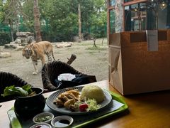 -上海野生动物园老虎餐厅