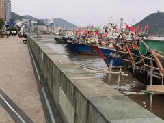 -沈家门渔港