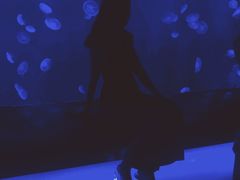 -暹罗海洋世界