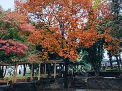 -无锡梅园公园