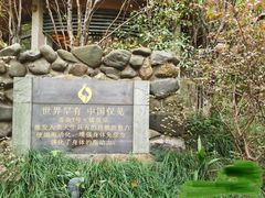 -张家港金凤凰度假村温泉