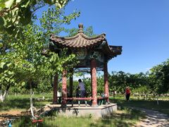 -御林古桑园